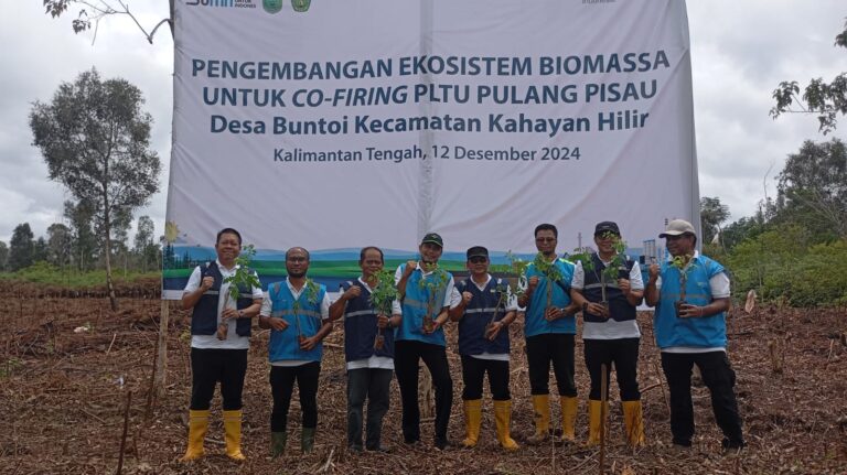 IMG-20241212-WA0013